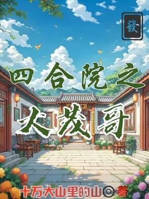 四合院之大茂哥