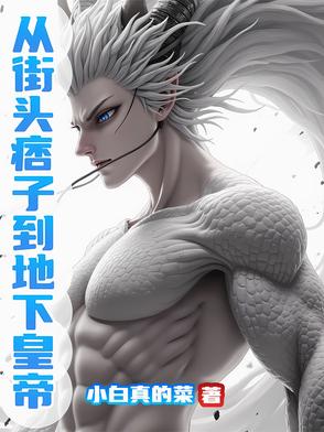 从街头痞子到地下皇帝